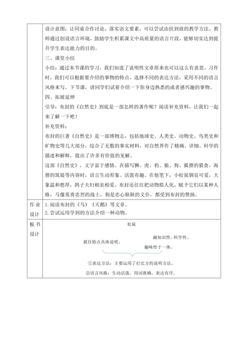 17 松鼠 第二课时 教学设计