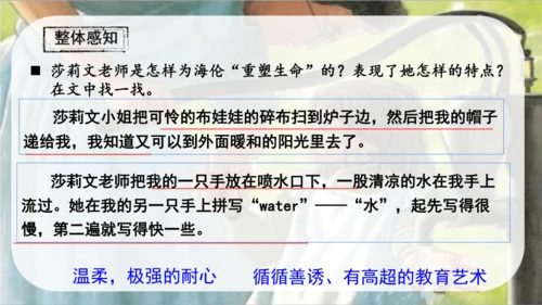 第11课《再塑生命的人》课件