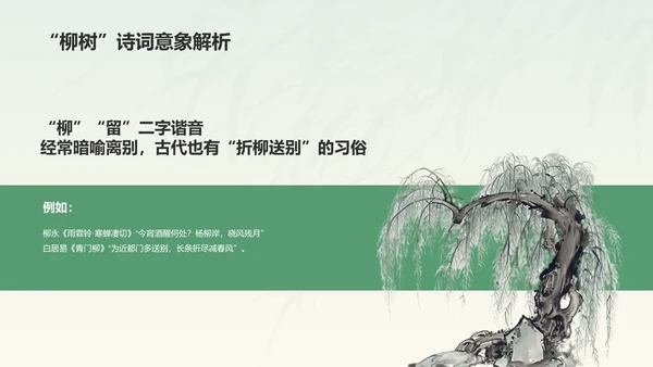 绿色水墨风章台柳典故赏析PPT模板