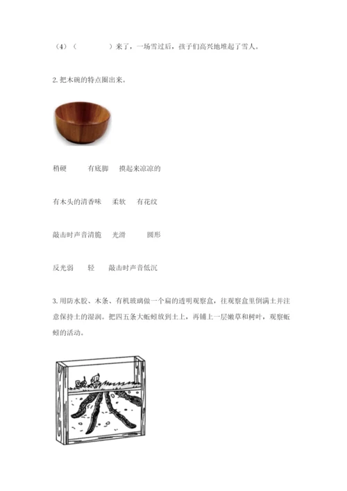 教科版小学二年级上册科学期末测试卷含答案（考试直接用）.docx