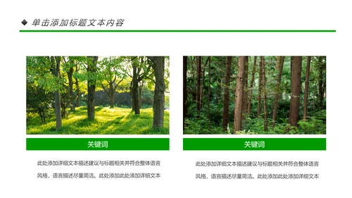 绿色环保森林生态文明建设森林日环保PPT模板