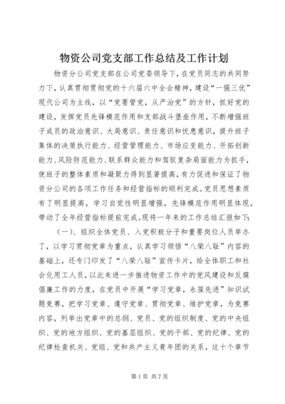 物资公司党支部工作总结及工作计划.docx