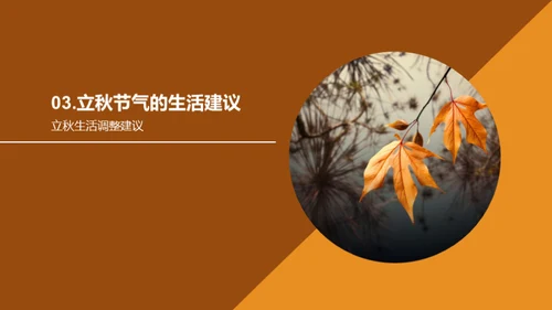 立秋气象知识解析