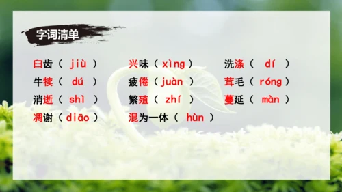 第16课 散文二篇 《永久的生命》课件