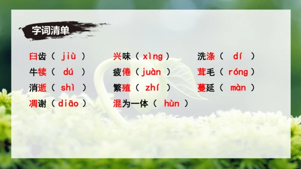 第16课 散文二篇 《永久的生命》课件