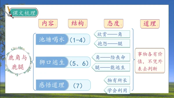 【核心素养】部编版语文三年级下册-7. 鹿角和鹿腿 第2课时（课件）