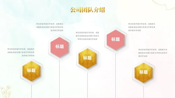 小清新风鎏金线条花卉美容医美行业招商项目汇报医美商业计划书