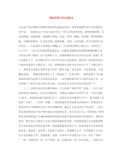精编之商务年度工作计划范文.docx