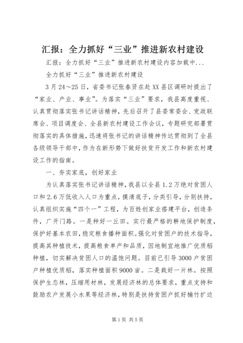 汇报：全力抓好“三业”推进新农村建设 (6).docx