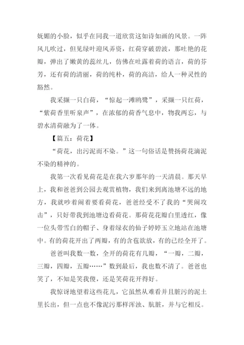 写荷花的作文600字.docx