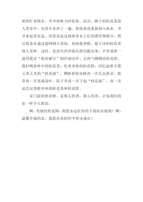 家门前的桂花树作文.docx