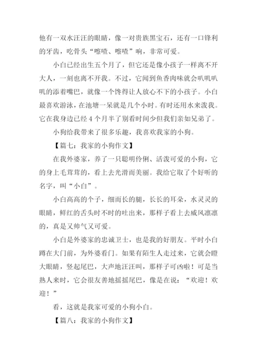 我家的小狗作文300字.docx
