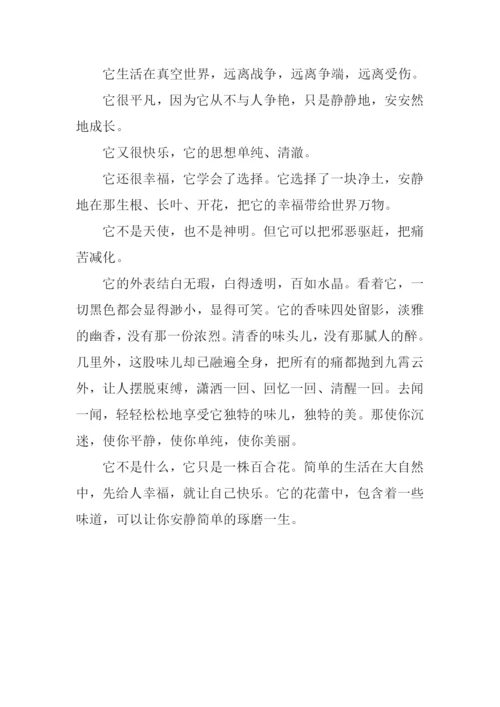 百合花作文400字.docx
