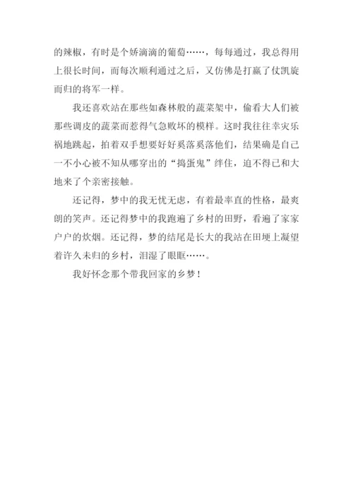 乡梦作文00.docx