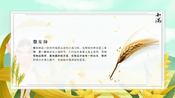 食粮丰收麦穗小满PPT模板