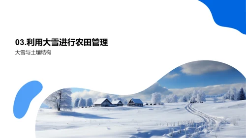 应对大雪的农业策略