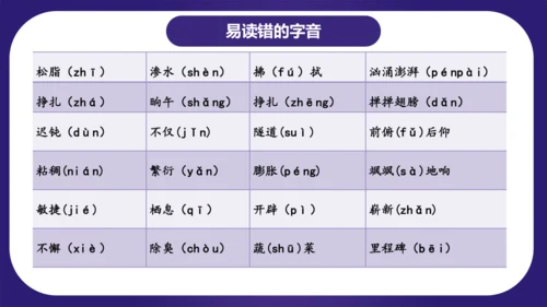 统编版四年级语文下学期期中核心考点集训第二单元（复习课件）