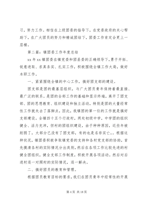 乡镇团委终总结.docx