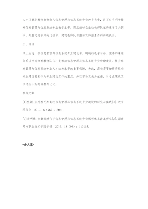 信息管理与信息系统专业建设存在的问题及完善对策探究.docx