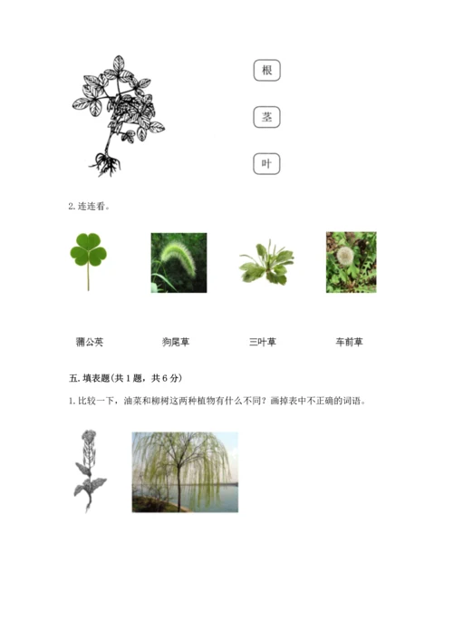 教科版科学一年级上册第一单元《植物》测试卷及完整答案【名师系列】.docx