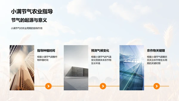 小满节气的影响及应对