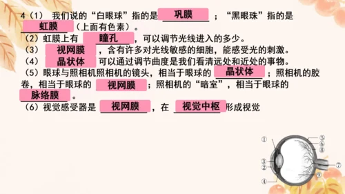 第四单元第五、六章复习课件(共33张PPT)人教版七年级下册