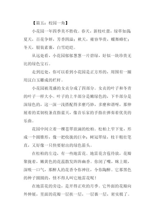 四年级作文公园一角.docx