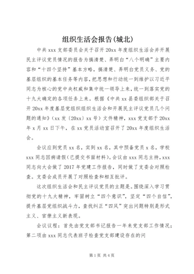 组织生活会报告(城北) (5).docx