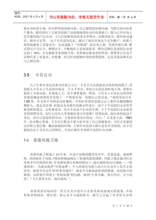 利基市场战略剖析论文.docx