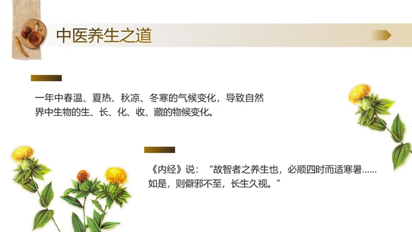 老人秋季养生，中医养生馆PPT模板