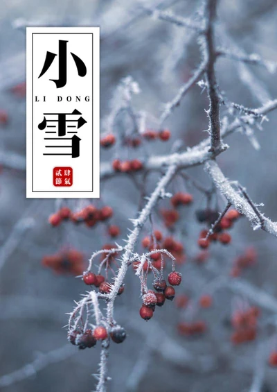 二十四节气之小雪海报word模板