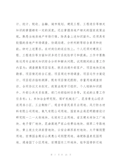 转正工作总结计划13篇.docx