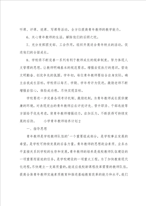 小学青年教师培养计划