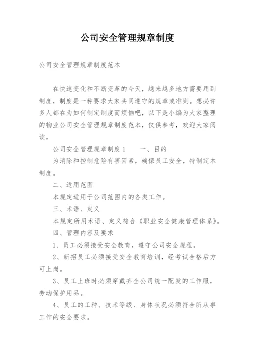 公司安全管理规章制度.docx