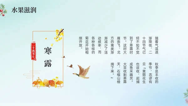 彩色弥撒寒露养生二十四节气PPT课件