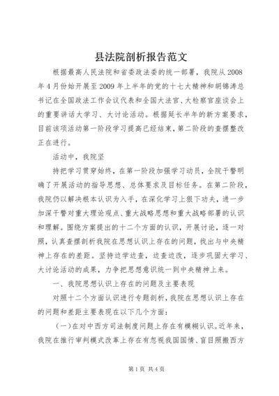 县法院剖析报告范文 (4).docx