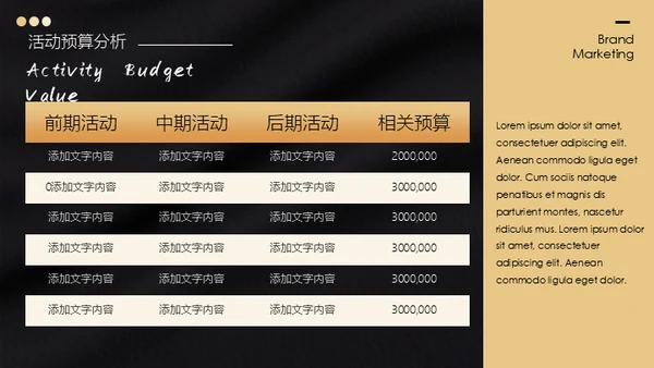 轻奢品牌营销活动策划通用PPT模板