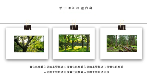 环境保护生态森林森业PPT动态模板