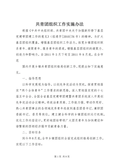 共青团组织工作实施办法 (5).docx