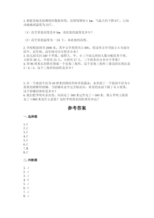 人教版六年级下册数学期末测试卷及完整答案【夺冠】.docx