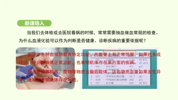第四单元-第四章-第一节-流动的组织——血液课件-2024-2025学年七年级生物下学期人教版(20