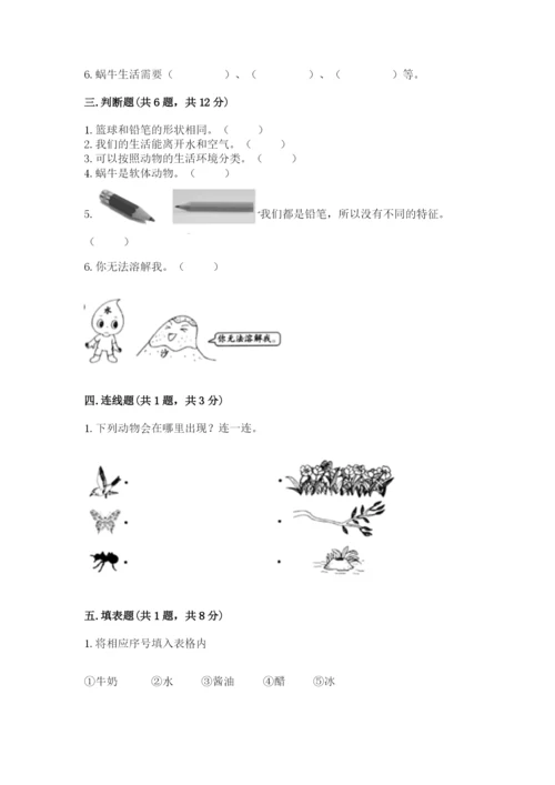 教科版小学科学一年级下册期末测试卷及参考答案【预热题】.docx