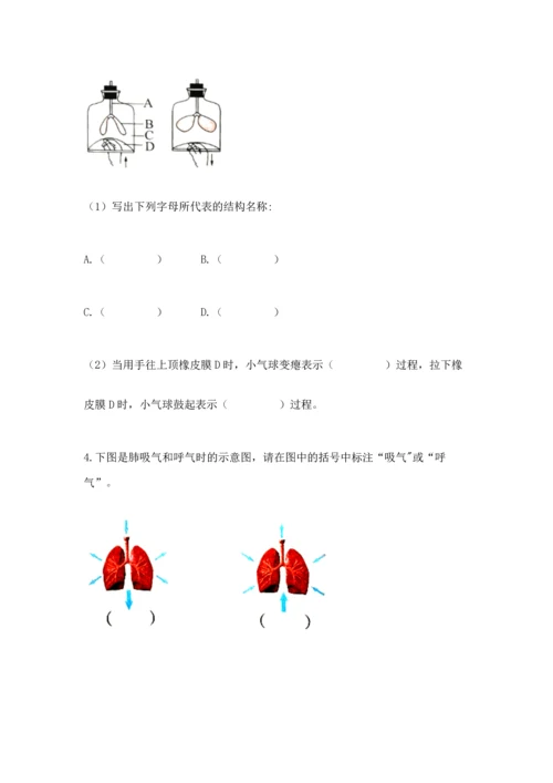 教科版科学四年级上册期末测试卷（典型题）word版.docx