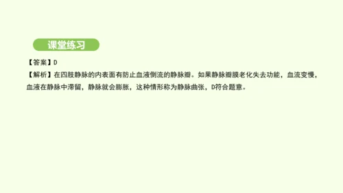 第四单元-第四章-第二节-血流的管道——血管课件-2024-2025学年七年级生物下学期人教版(20