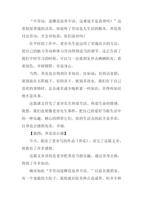 养花读后感400字.docx