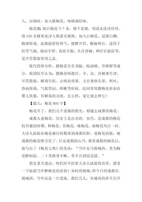 梅花的作文0.docx