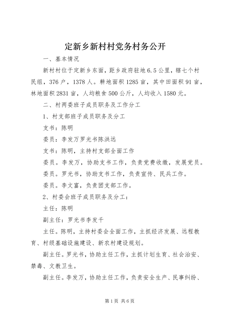 定新乡新村村党务村务公开.docx