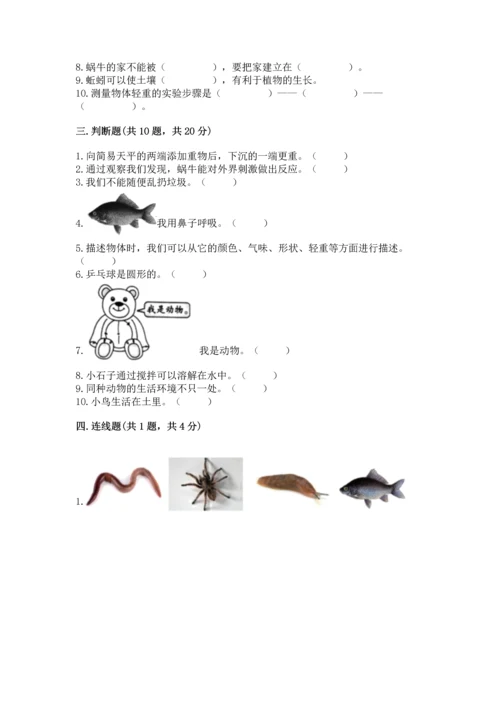 教科版一年级下册科学期末测试卷附答案（巩固）.docx