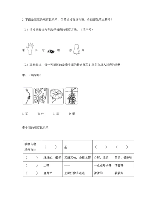 教科版小学一年级上册科学期末测试卷含完整答案【全优】.docx