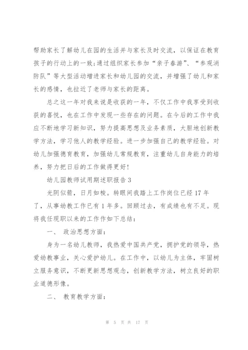 幼儿园教师试用期述职报告.docx